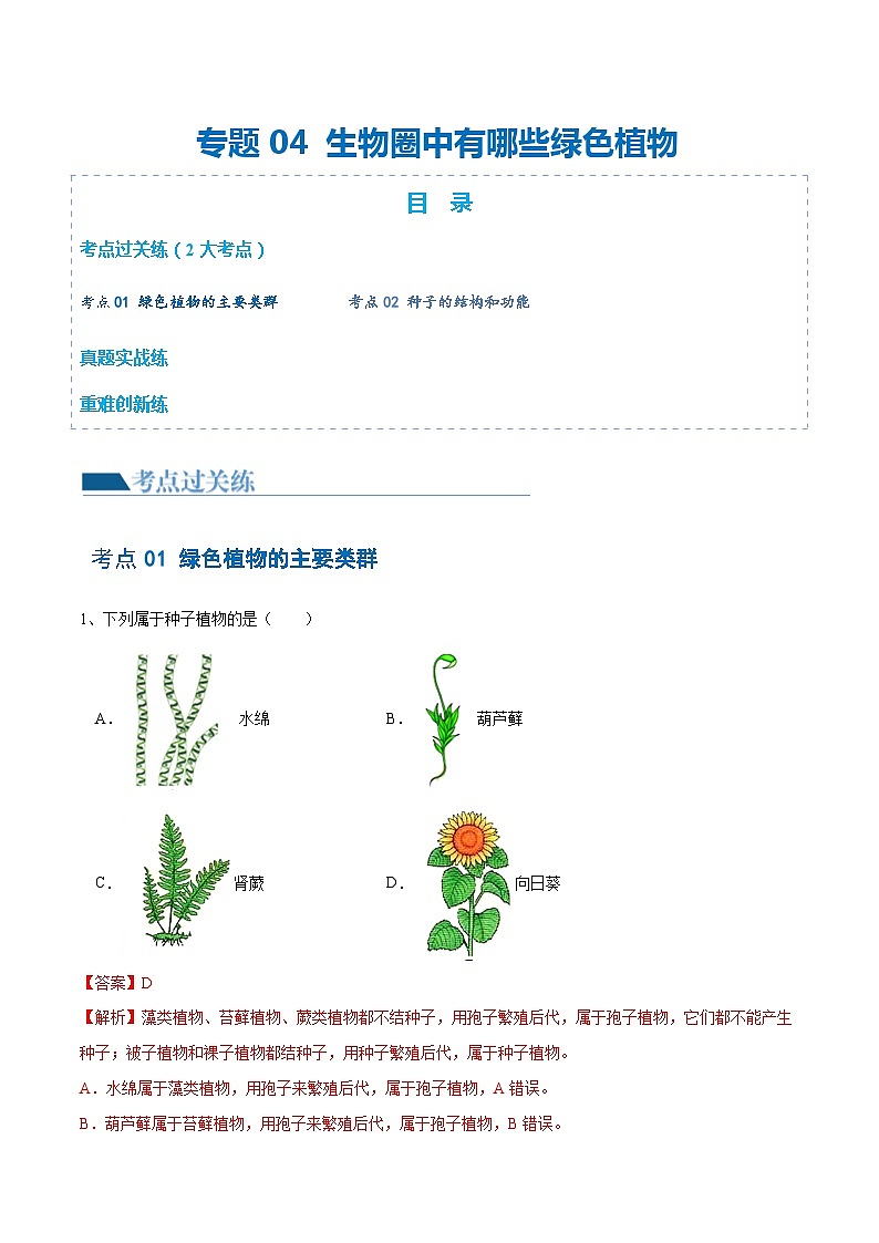【2024会考】初中生物 专题04 生物圈中有哪些绿色植物练习（原卷+解析版）01