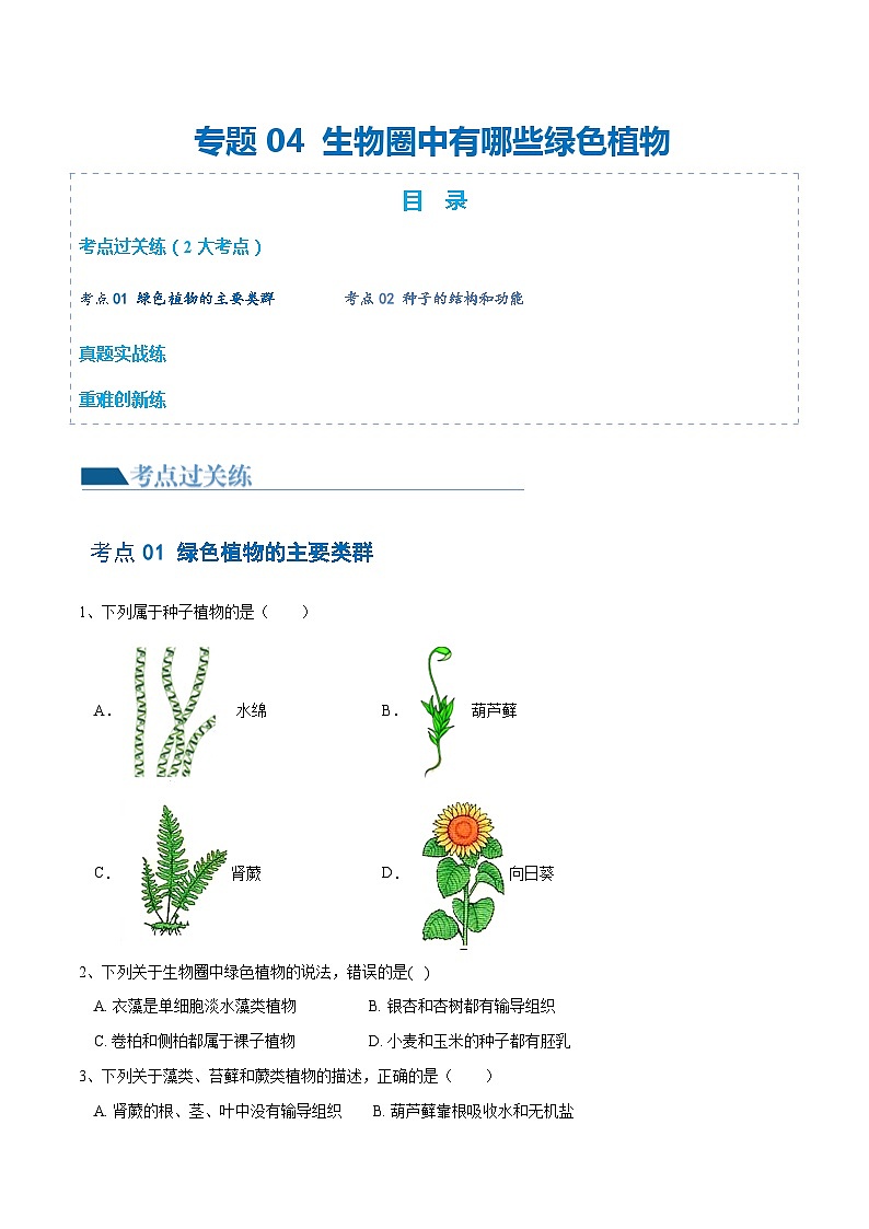 【2024会考】初中生物 专题04 生物圈中有哪些绿色植物练习（原卷+解析版）01