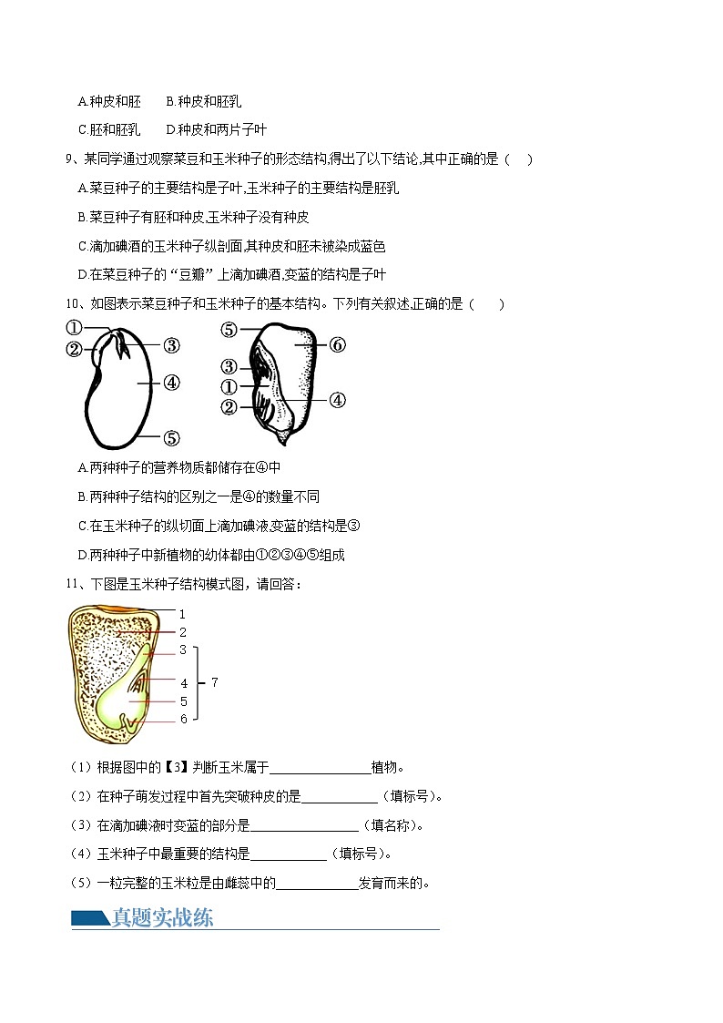 【2024会考】初中生物 专题04 生物圈中有哪些绿色植物练习（原卷+解析版）03