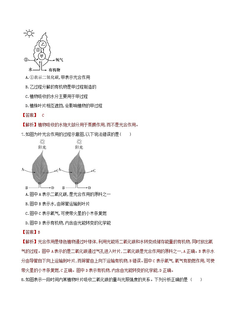 专题07 绿色植物的光合作用（练习）（解析版）第3页