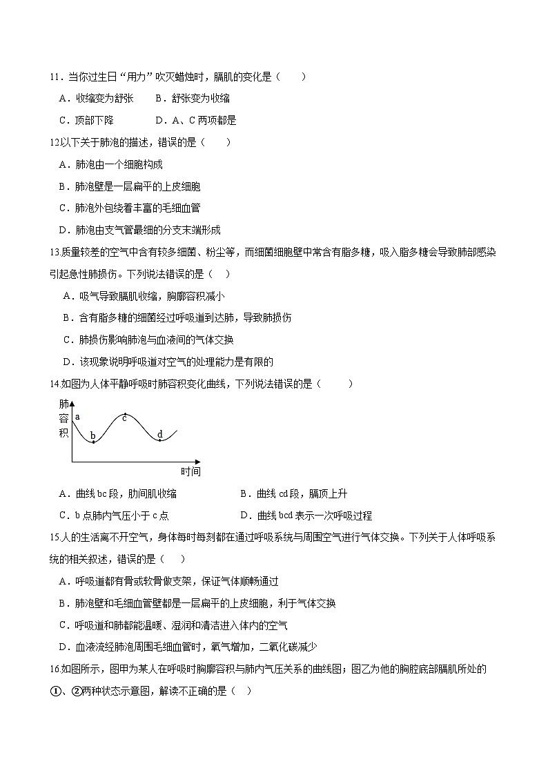 专题11 人体的呼吸（练习）（原卷版）第3页