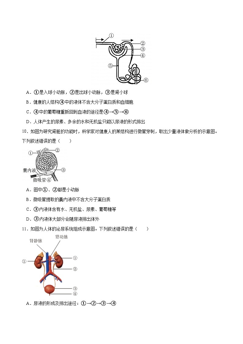 【2024会考】初中生物 专题13 人体内废物的排出练习（原卷+解析版）03