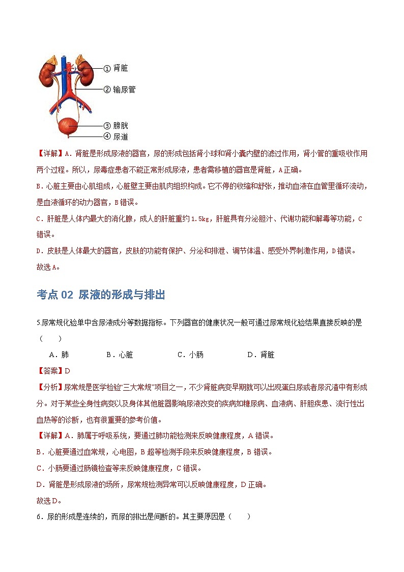 【2024会考】初中生物 专题13 人体内废物的排出练习（原卷+解析版）03
