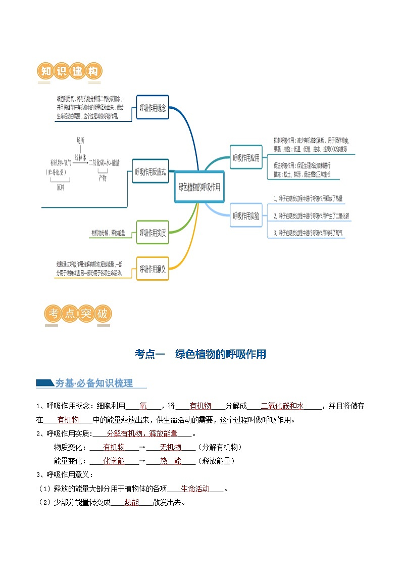 【2024会考】初中生物专题08 绿色植物的呼吸作用（讲义）（原卷+解析版）02