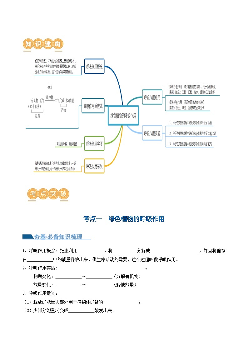 【2024会考】初中生物专题08 绿色植物的呼吸作用（讲义）（原卷+解析版）02