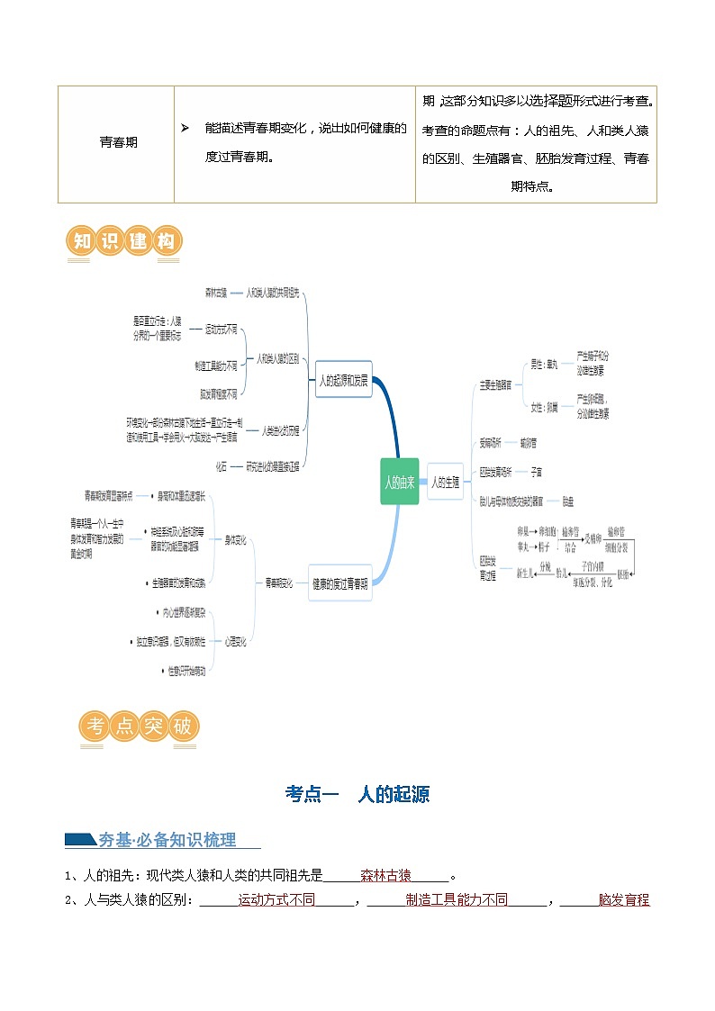 专题09 人的由来（讲义）（解析版）第2页