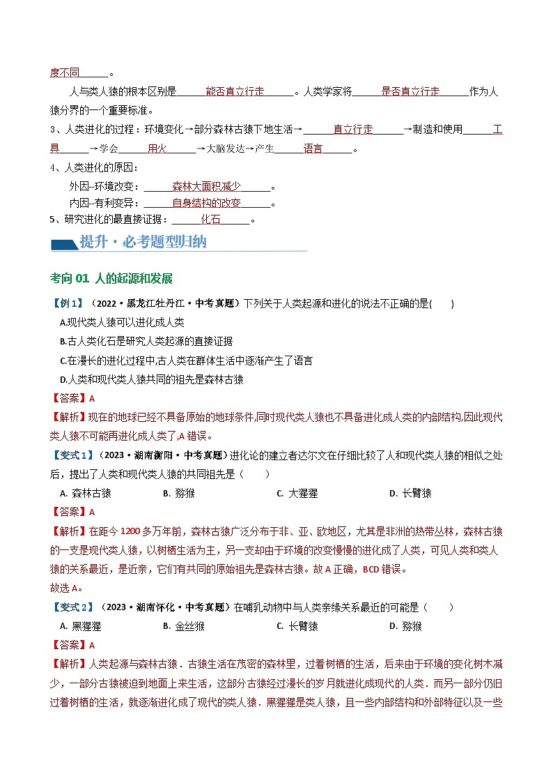 专题09 人的由来（讲义）（解析版）第3页