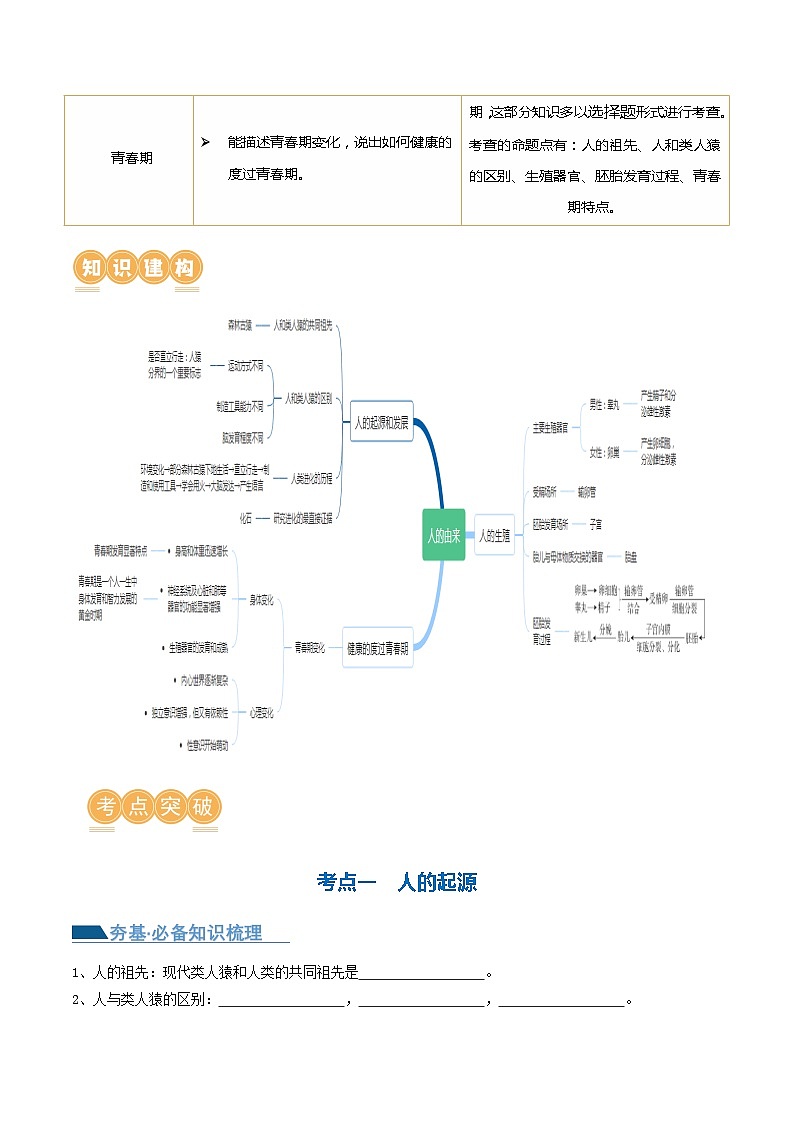 专题09 人的由来（讲义）（原卷版）第2页