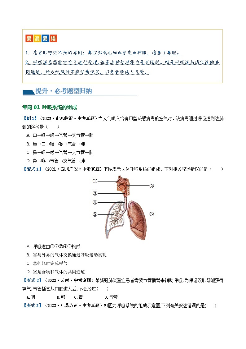 专题11 人体的呼吸（讲义）（原卷版）第3页