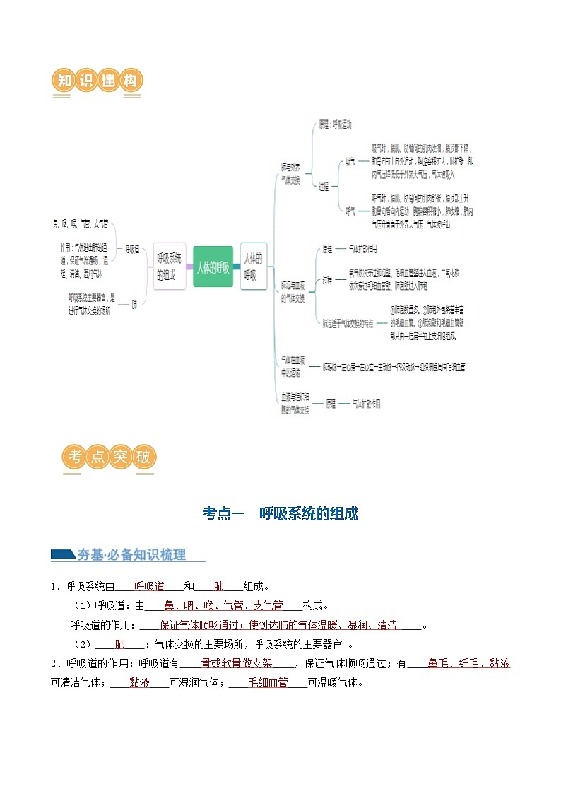 专题11 人体的呼吸（讲义）（解析版）第2页