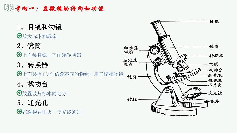 【2024年会考】初中生物 专题02 细胞是生命活动的基本单位-课件06