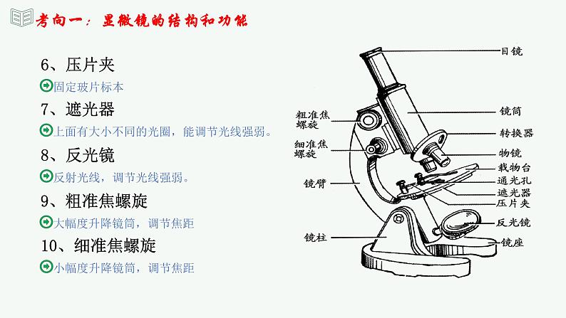 【2024年会考】初中生物 专题02 细胞是生命活动的基本单位-课件07