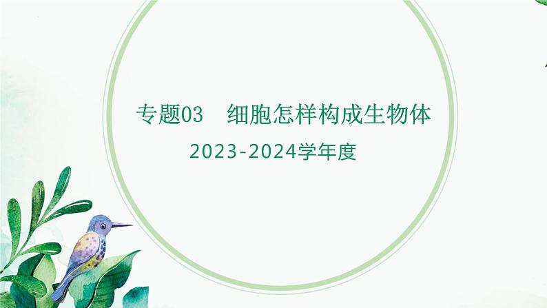 【2024年会考】初中生物 专题03 细胞怎样构成生物体-课件01