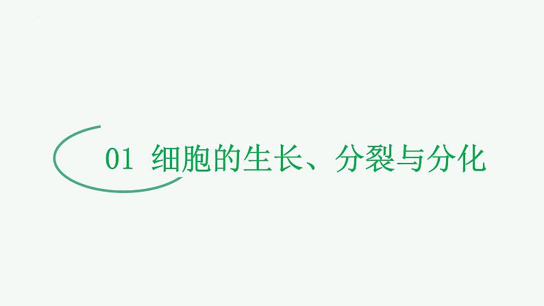 【2024年会考】初中生物 专题03 细胞怎样构成生物体-课件05