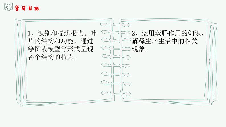 【2024年会考】初中生物 专题06 绿色植物与生物圈中的水循环-课件第3页