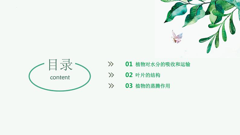 【2024年会考】初中生物 专题06 绿色植物与生物圈中的水循环-课件第4页