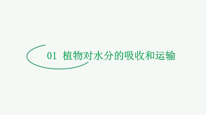【2024年会考】初中生物 专题06 绿色植物与生物圈中的水循环-课件第5页