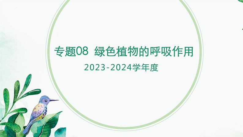 【2024年会考】初中生物 专题08 绿色植物的呼吸作用-课件01