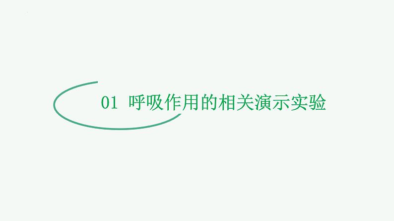 【2024年会考】初中生物 专题08 绿色植物的呼吸作用-课件05