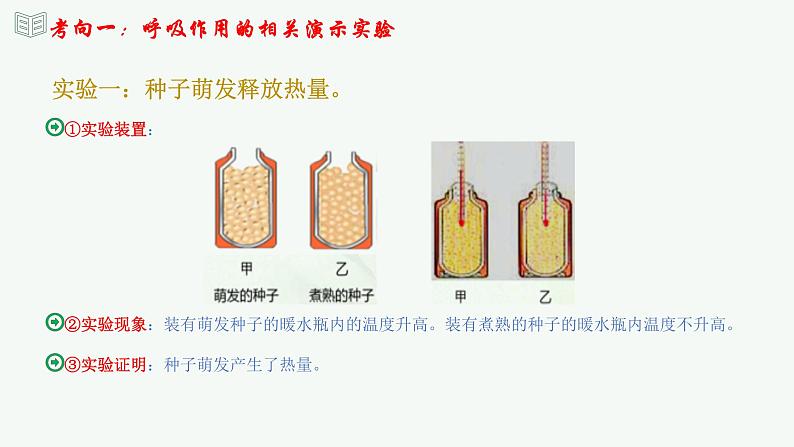 【2024年会考】初中生物 专题08 绿色植物的呼吸作用-课件06