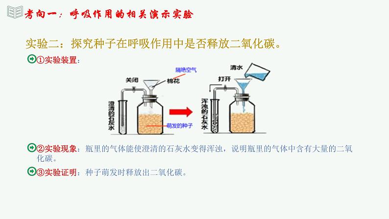 【2024年会考】初中生物 专题08 绿色植物的呼吸作用-课件07