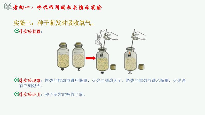 【2024年会考】初中生物 专题08 绿色植物的呼吸作用-课件08