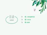 【2024年会考】初中生物 专题09 人的由来-课件