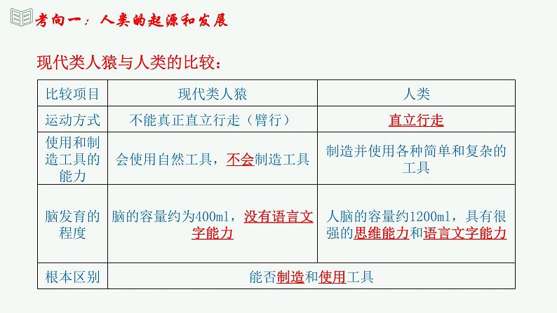 【2024年会考】初中生物 专题09 人的由来-课件07