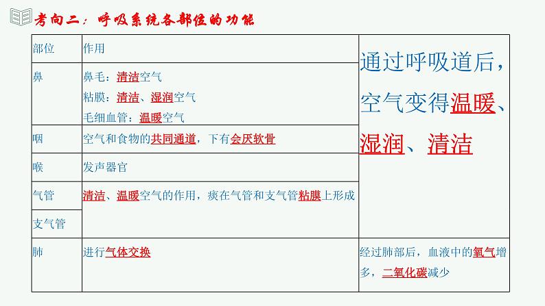 【2024年会考】初中生物 专题11 人体的呼吸-课件08