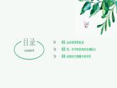 【2024年会考】初中生物 专题17 哺乳动物的运动及动物在生物圈中的作用-课件
