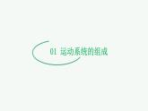 【2024年会考】初中生物 专题17 哺乳动物的运动及动物在生物圈中的作用-课件