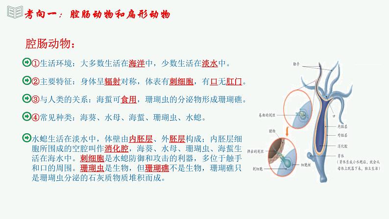 【2024年会考】初中生物 专题16 动物的主要类群-课件第6页