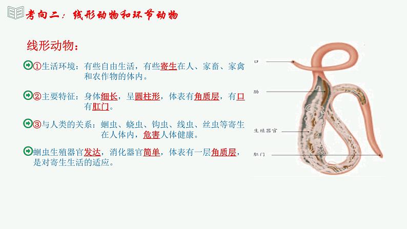 【2024年会考】初中生物 专题16 动物的主要类群-课件第8页