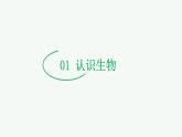 【2024年会考】初中生物 专题01 生物和生物圈-课件