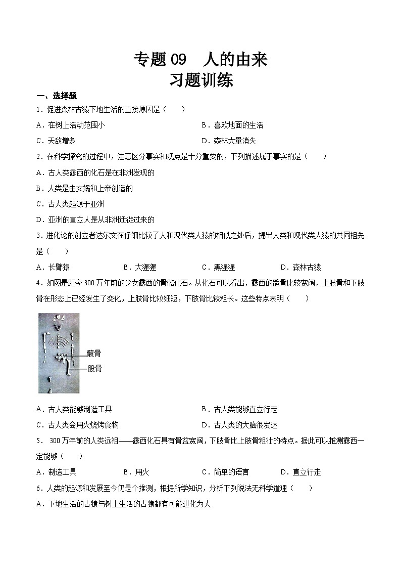 【2024会考】初中生物 专题09 人的由来-练习（原卷+解析版）01