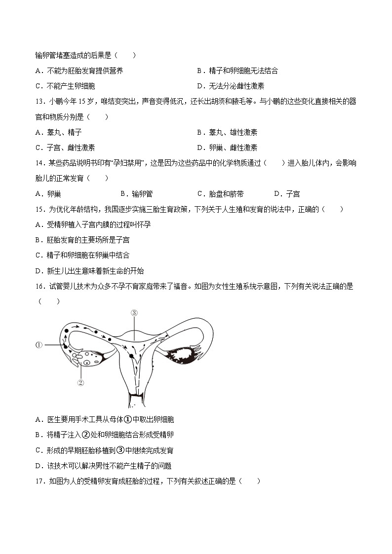 【2024会考】初中生物 专题09 人的由来-练习（原卷+解析版）03