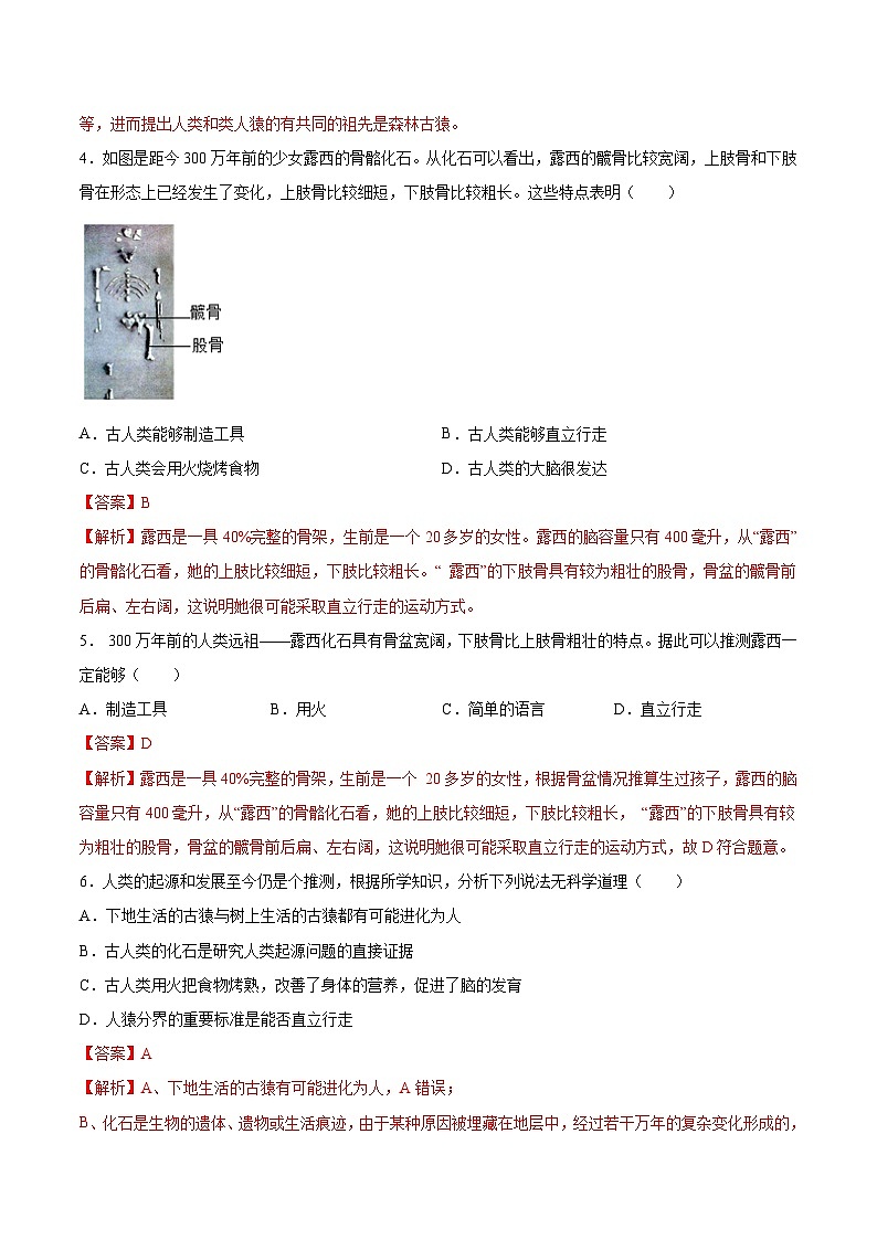 【2024会考】初中生物 专题09 人的由来-练习（原卷+解析版）02