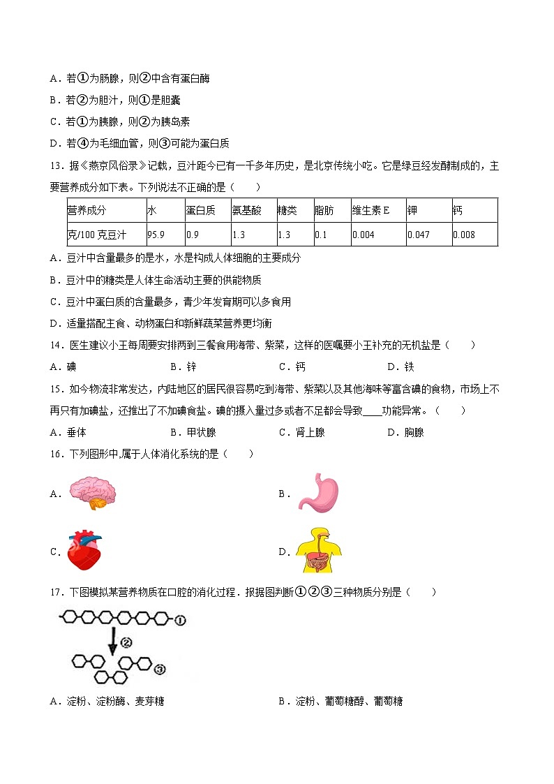 【2024会考】初中生物 专题10 人体的营养-练习（原卷+解析版）03