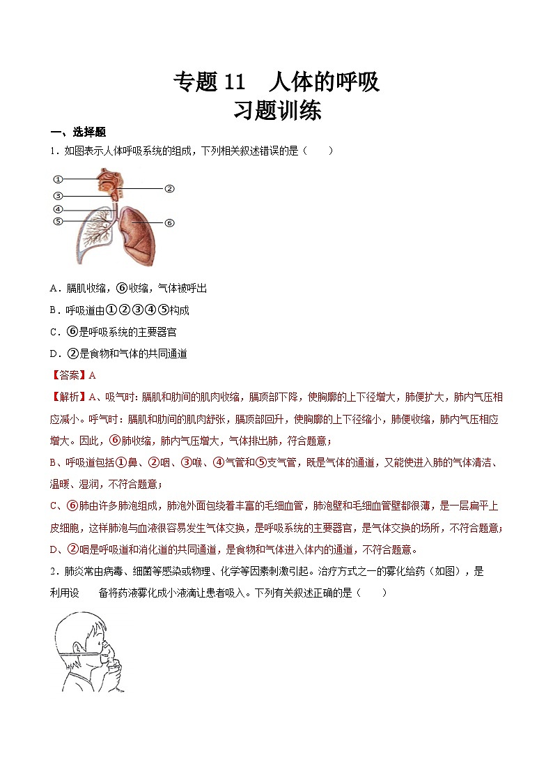 专题11 人体的呼吸（习题精练）（全国通用）（解析版）第1页
