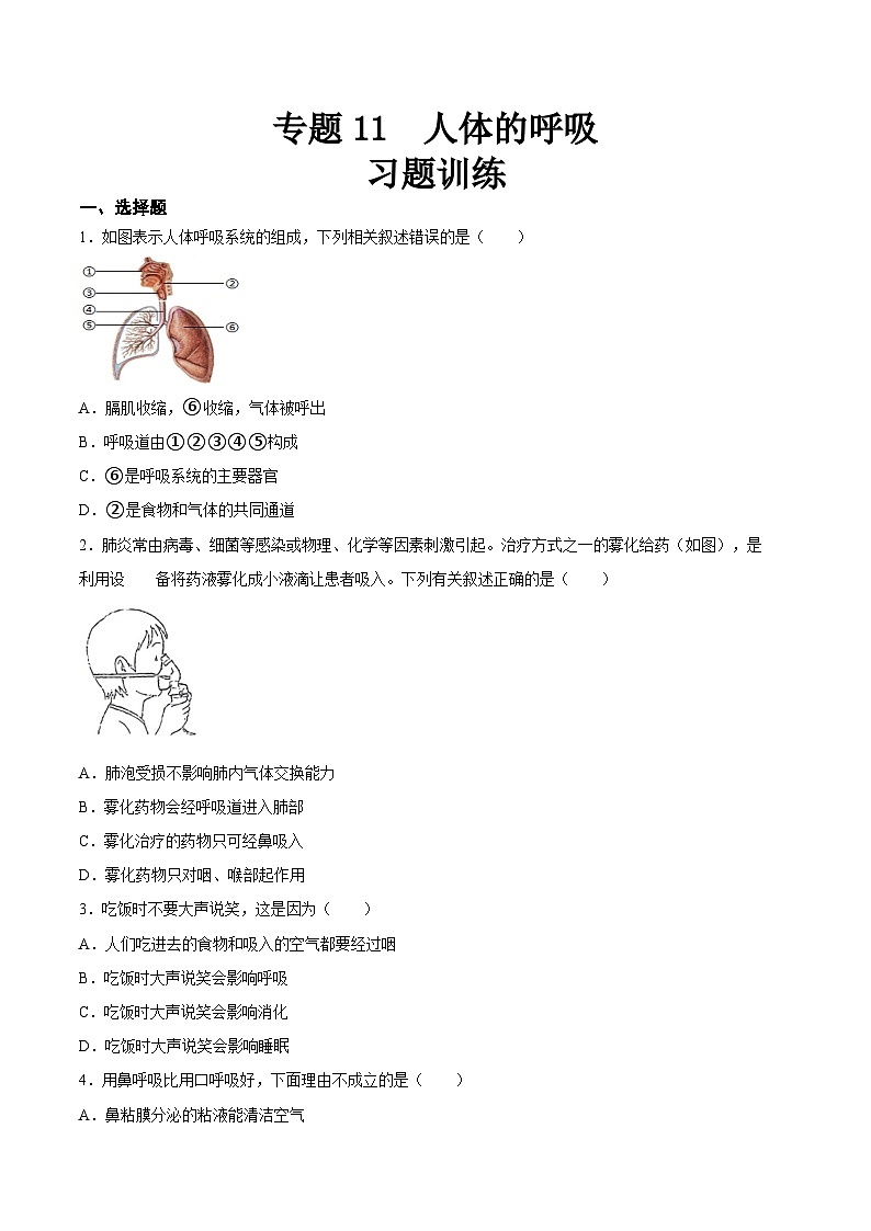 专题11 人体的呼吸（习题精练）（全国通用）（原卷版）第1页