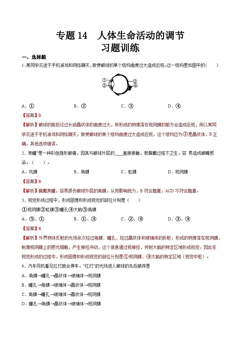 专题14 人体生命活动的调节（习题精练）-【省心备考】2024年会考生物一轮复习精讲精练（全国通用）（解析版）第1页