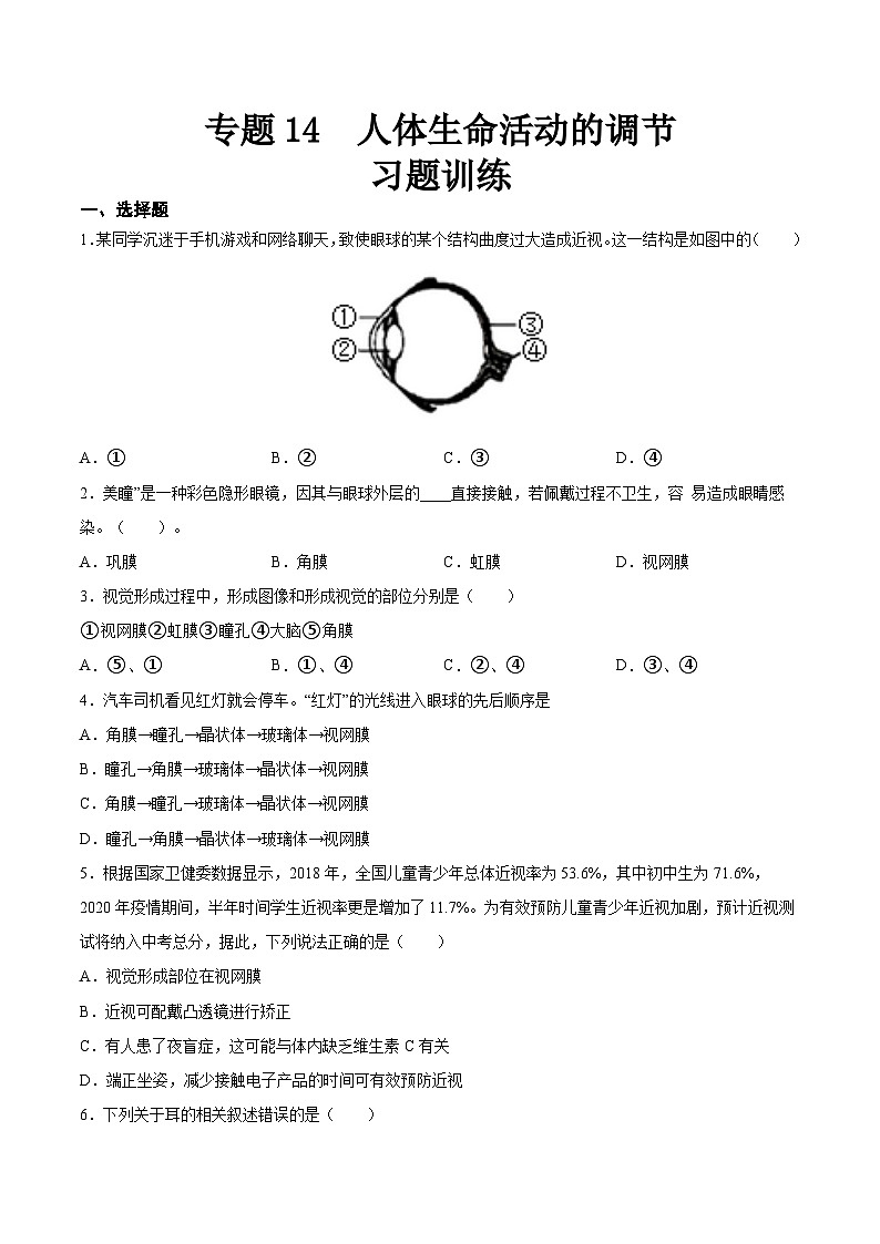 专题14 人体生命活动的调节（习题精练）-【省心备考】2024年会考生物一轮复习精讲精练（全国通用）（原卷版）第1页