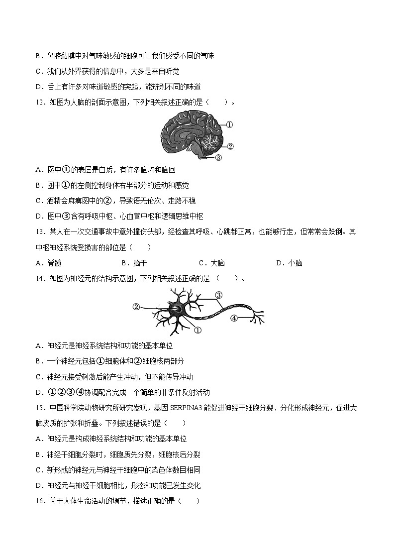 专题14 人体生命活动的调节（习题精练）-【省心备考】2024年会考生物一轮复习精讲精练（全国通用）（原卷版）第3页