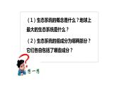 23.3生态系统的结构和功能课件2023--2024学年北师大版生物八年级下册