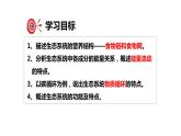 23.3生态系统的结构和功能课件2023--2024学年北师大版生物八年级下册