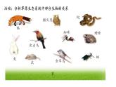 23.3生态系统的结构和功能课件2023--2024学年北师大版生物八年级下册