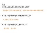 23.3生态系统的结构和功能课件2023--2024学年北师大版生物八年级下册