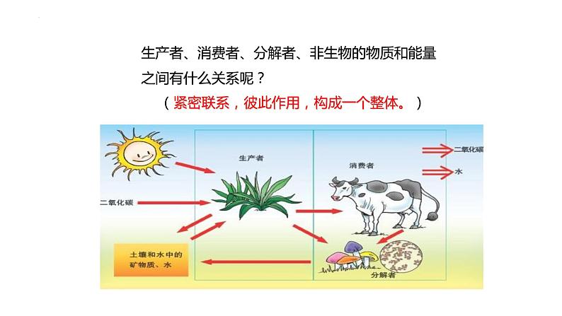 23.2.生态系统概述课件2023--2024学年北师大版生物八年级下册第8页