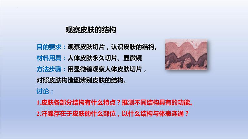 11.3+皮肤与汗液分泌+课件2023--2024学年北师大版生物七年级下册04