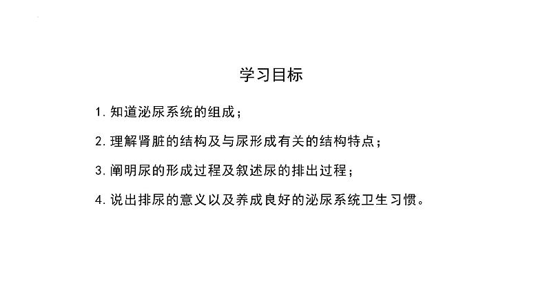 11.2尿的形成与排出课件2023--2024学年北师大版生物七年级下册第3页